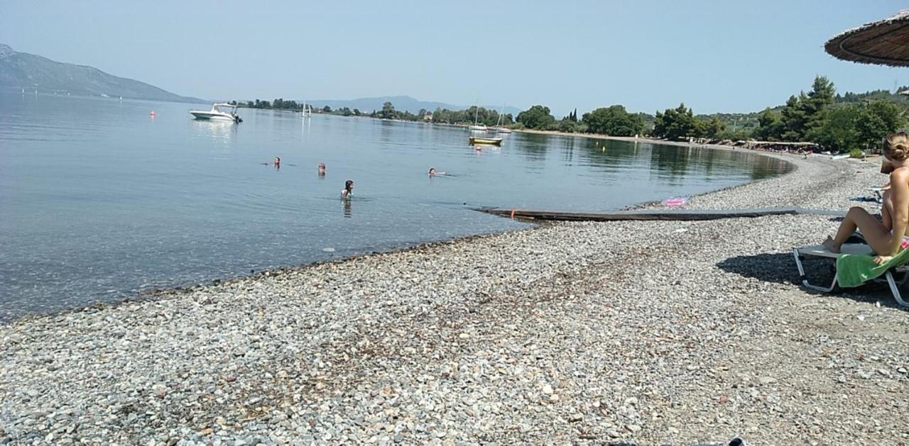 Mare E Monti1 Apartment Kamena Vourla Luaran gambar